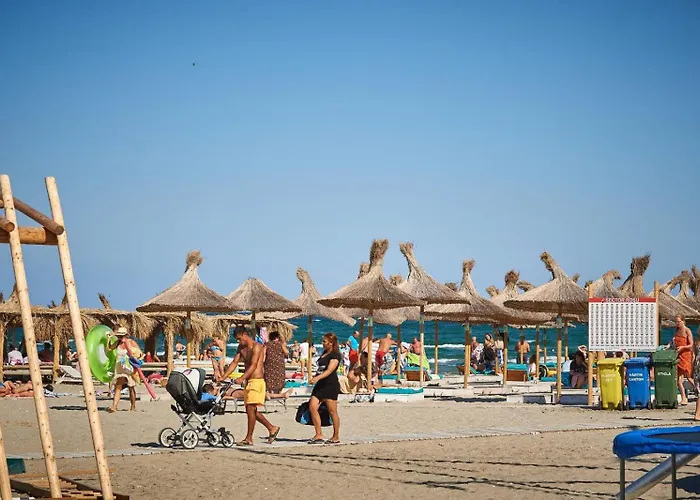 Melody By Alz Năvodari